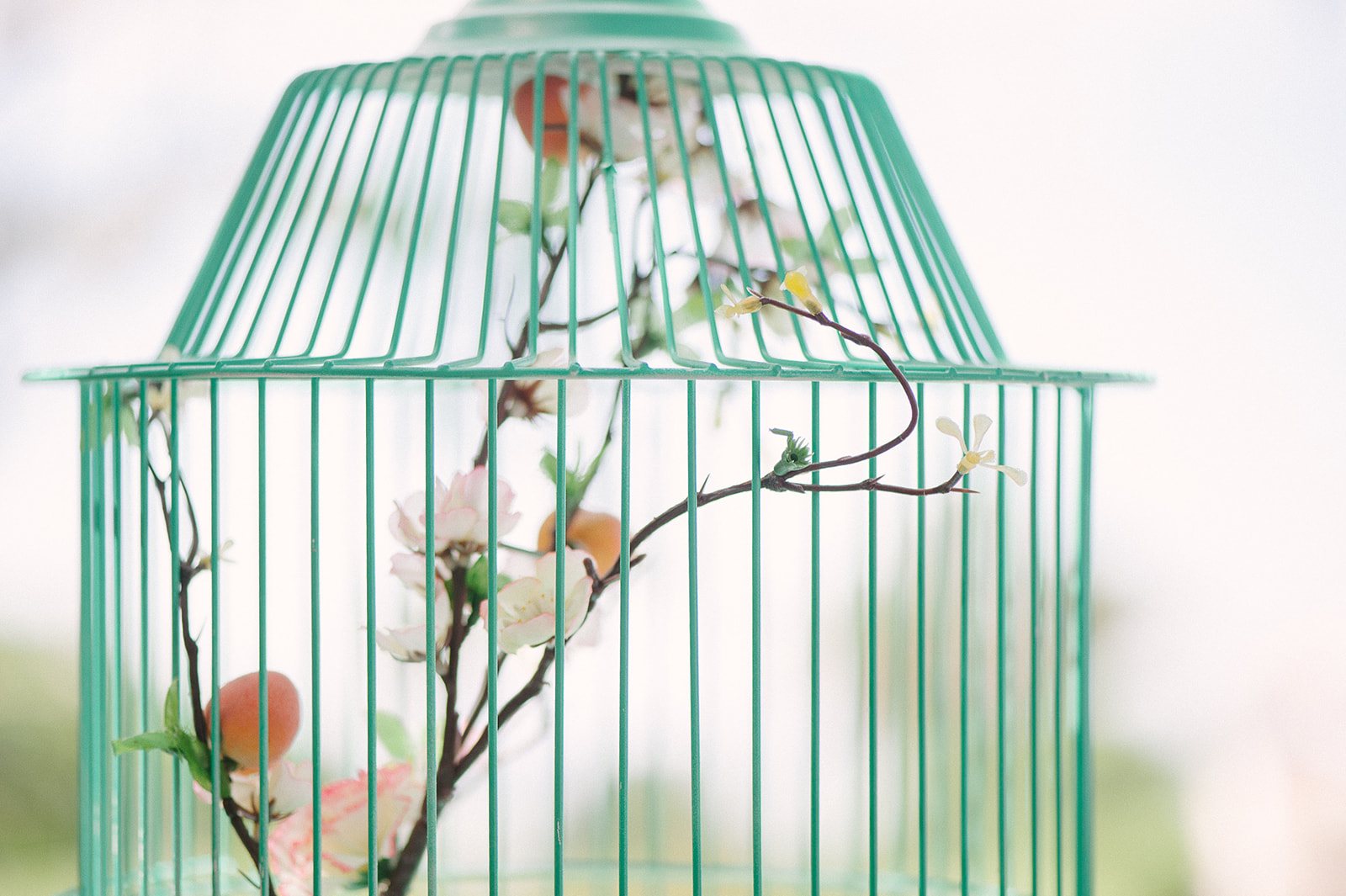A mint-green birdcage with flowers