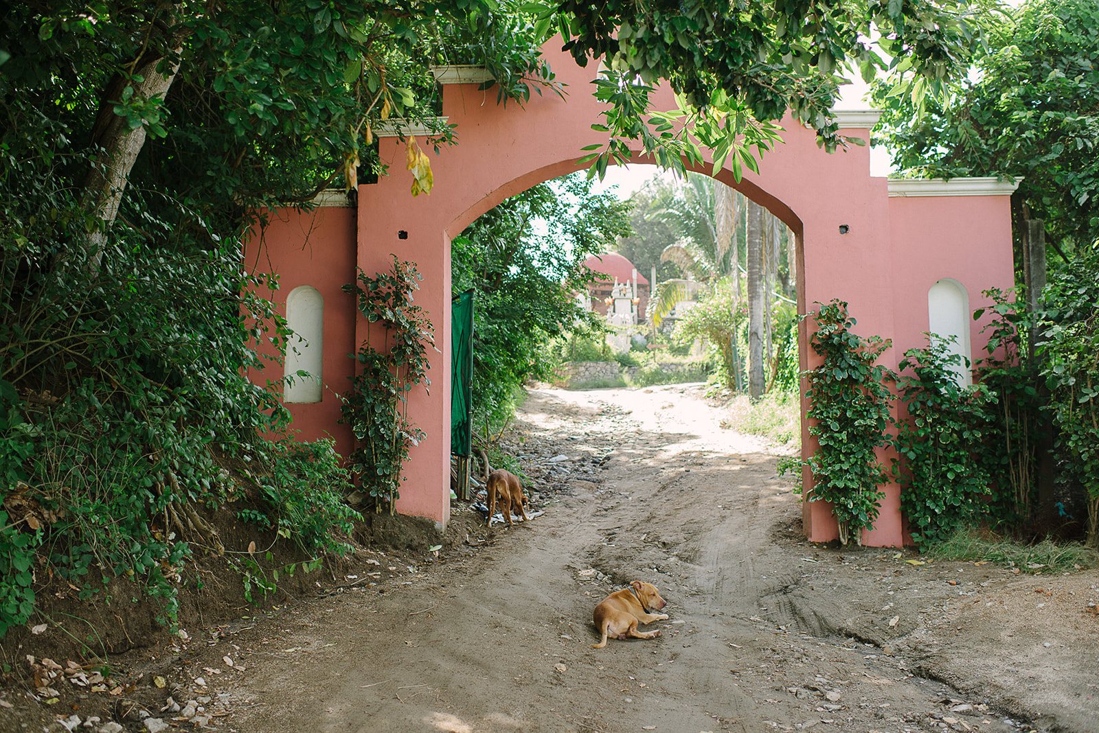 A pink stone arch in the jungle