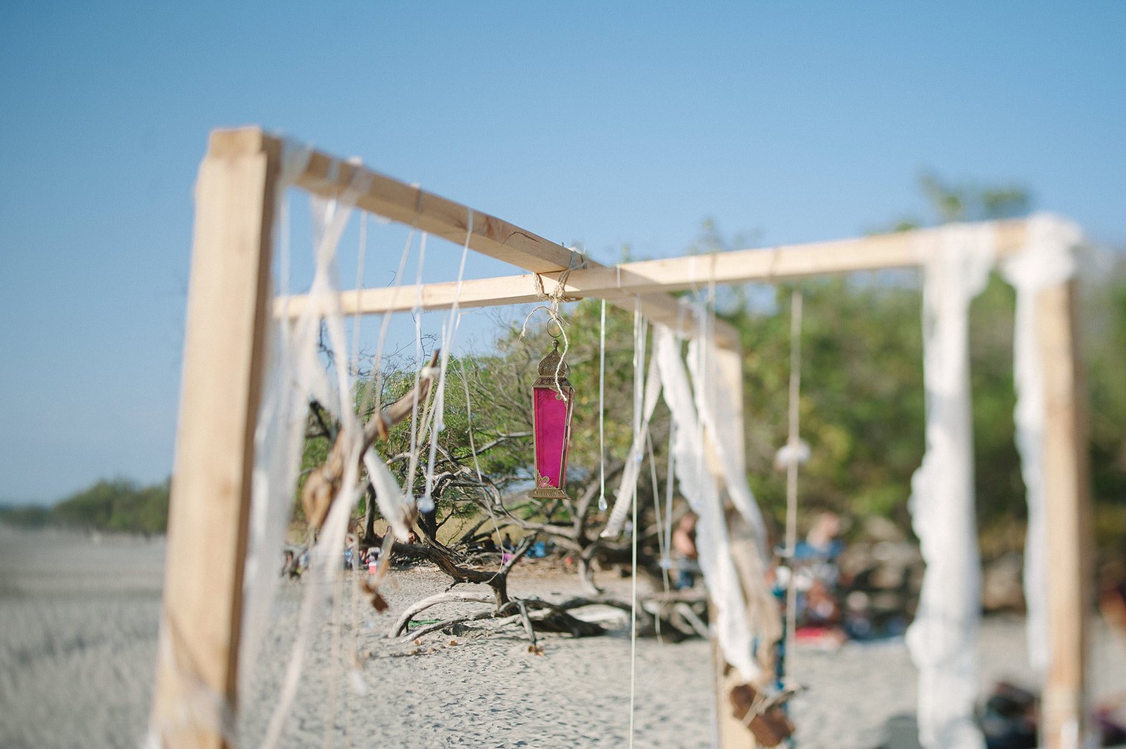 The driftwood arch on Playa Avellanas