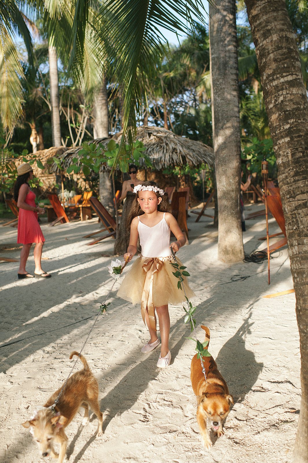The flower girl and two dogs under the palms