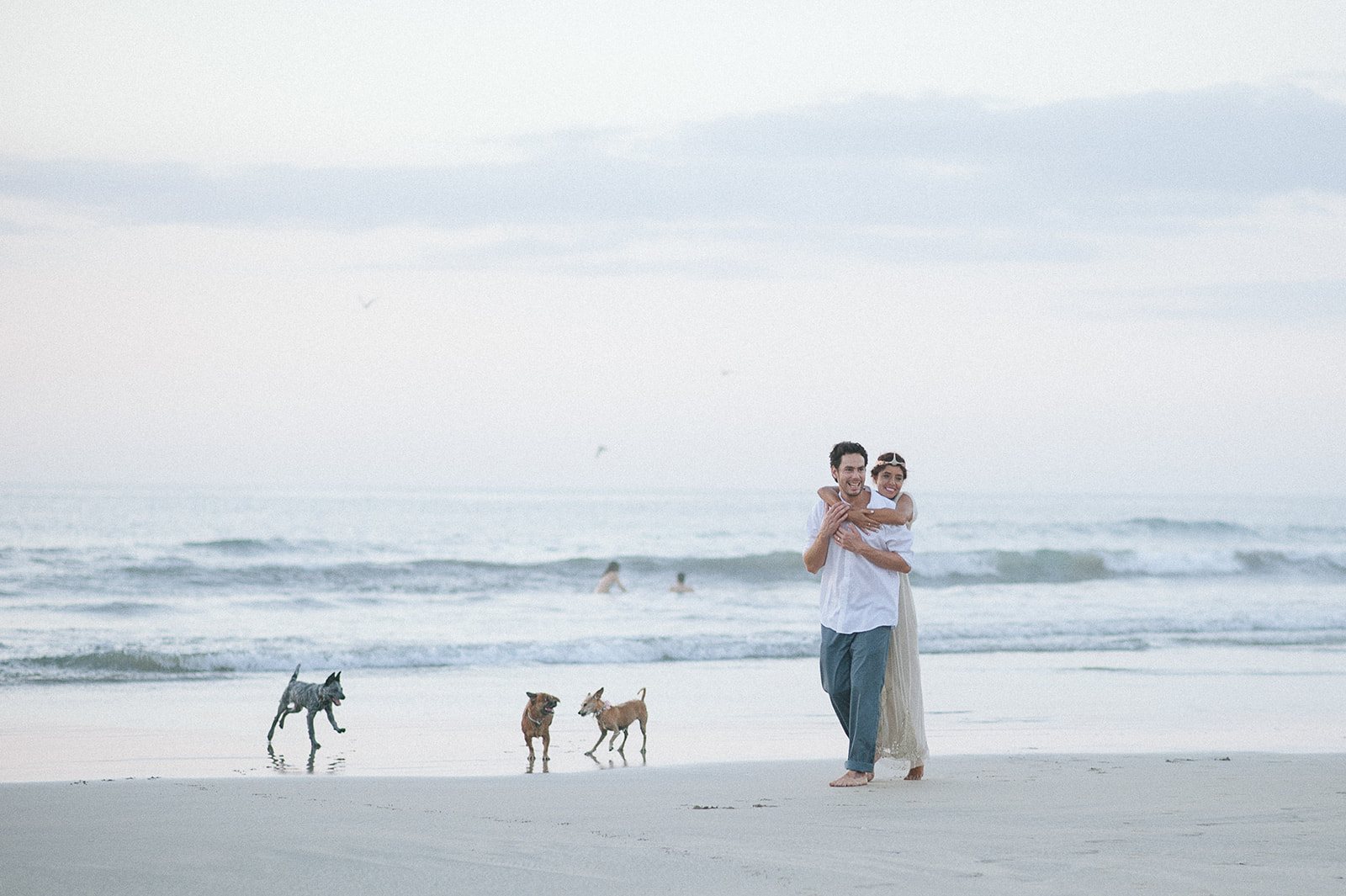 The couple small on the beach with their dogs