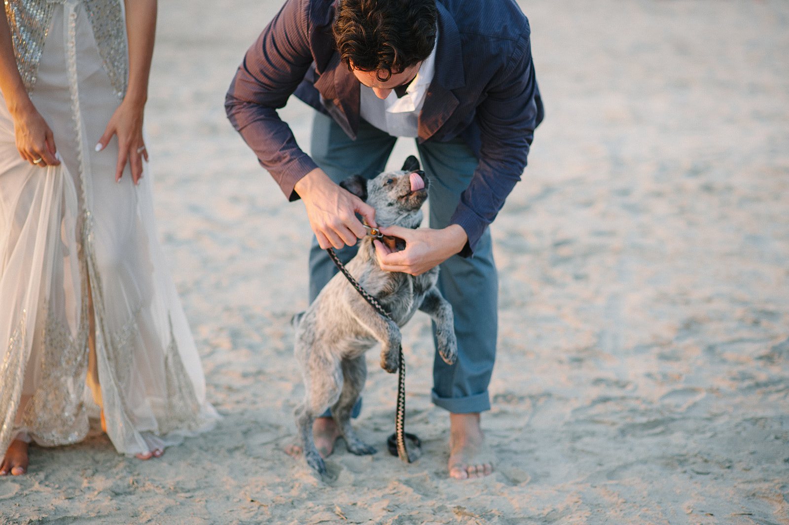 The groom crouching with the dog