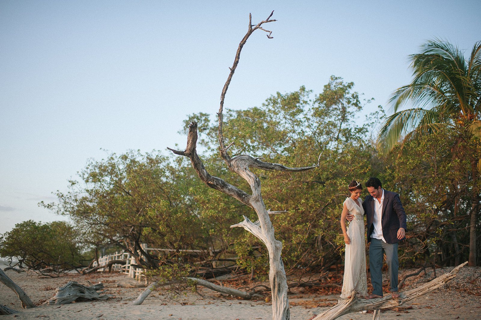 The couple beside a bare tree at the edge of the beach