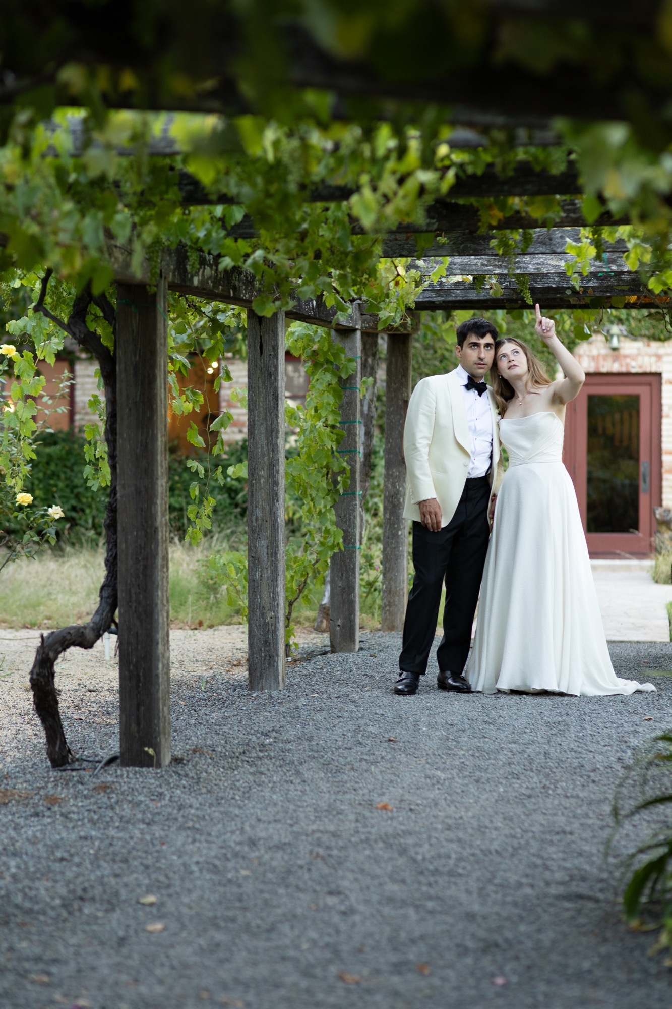 The couple under the vine-covered pergola