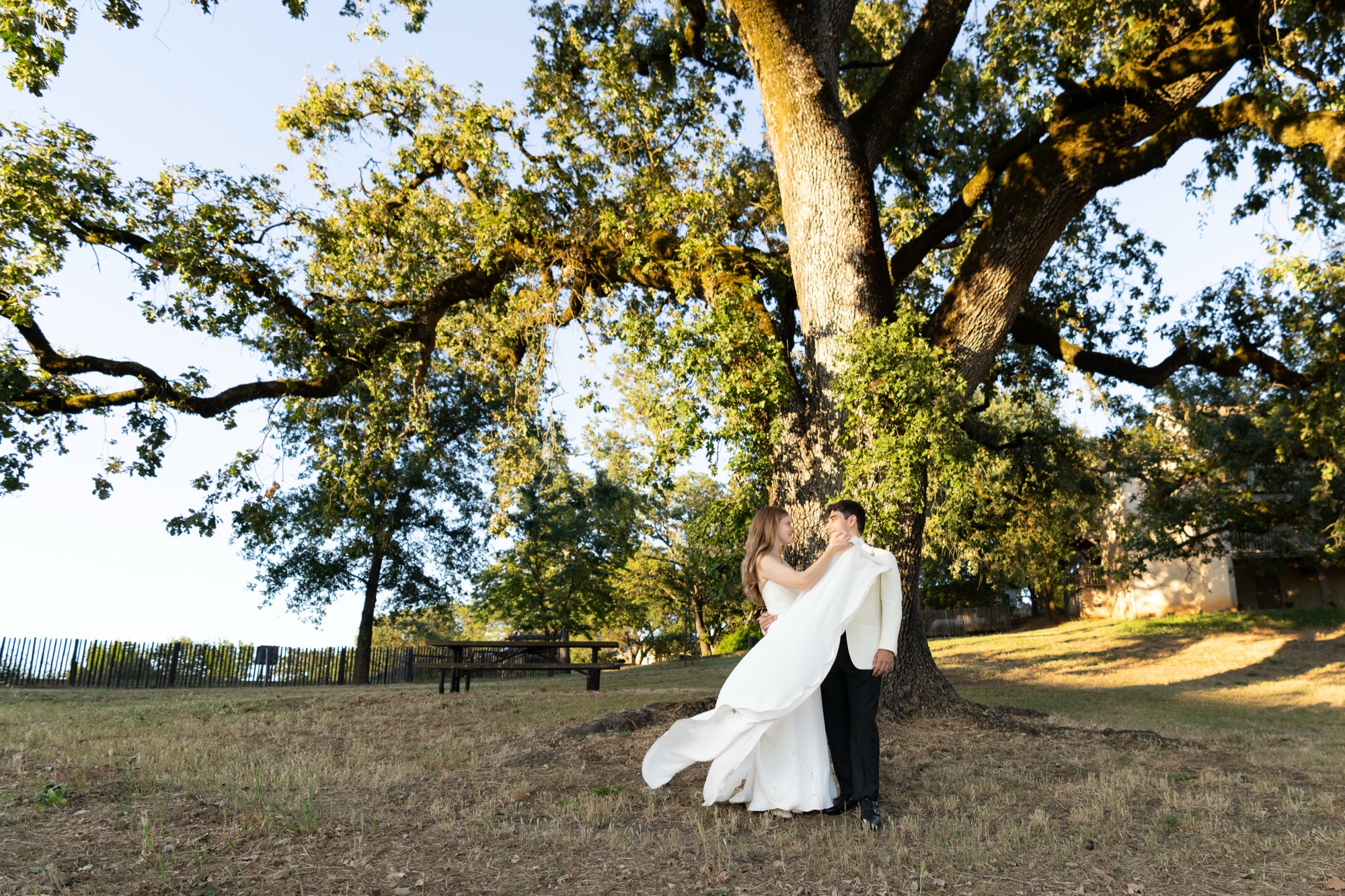 A couple under a wide oak tree