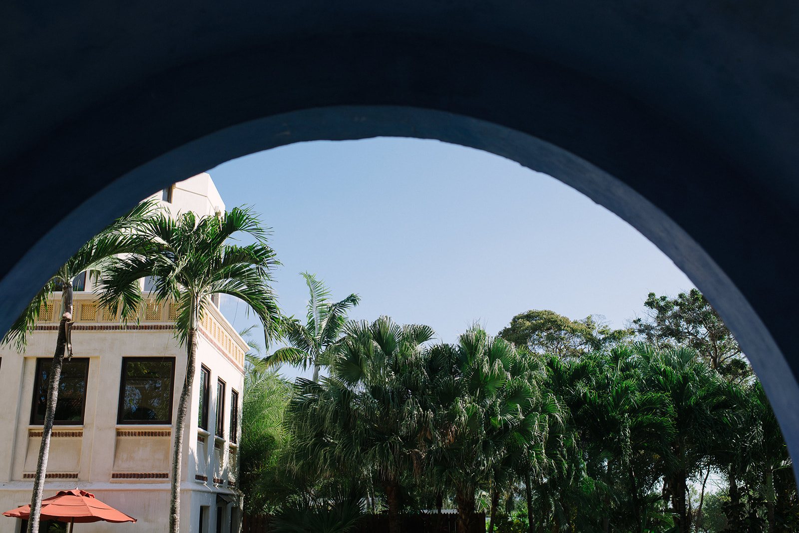 Palms framed through a blue archway at Casa Merekesh
