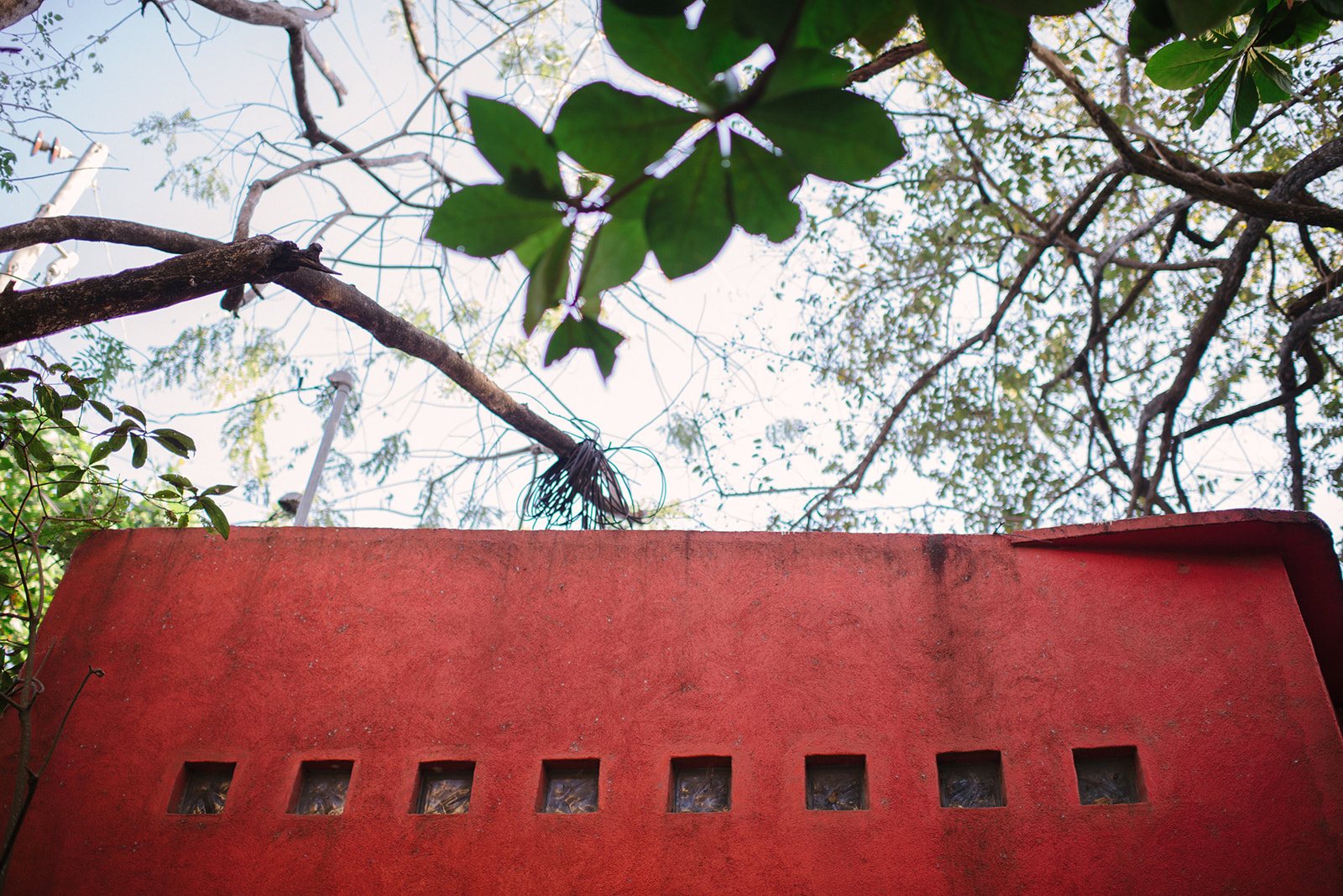 A red wall under the trees
