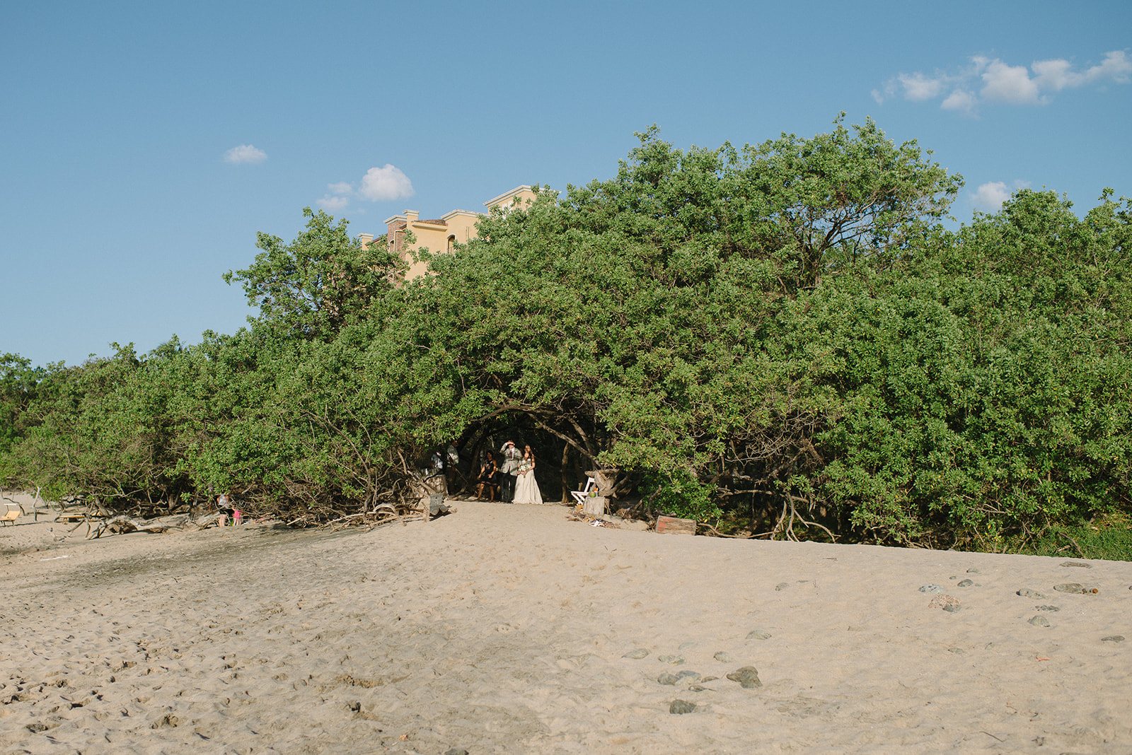 The green dunes at Playa Langosta