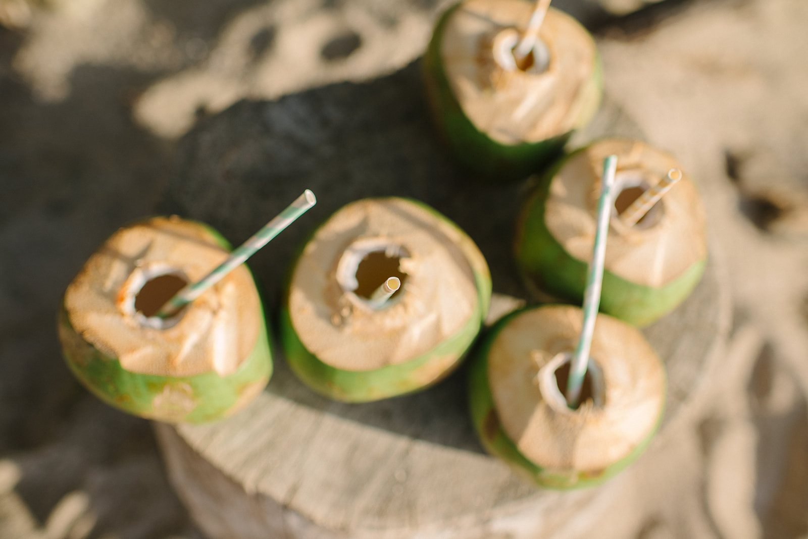 Coconuts with straws in the sand