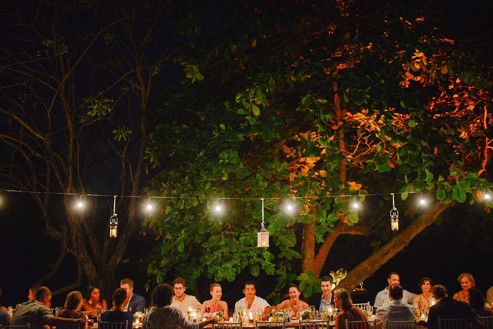 Dinner under the trees at night