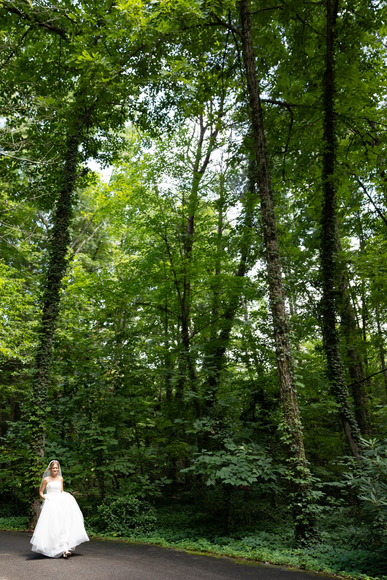 The bride small on a road through the woods
