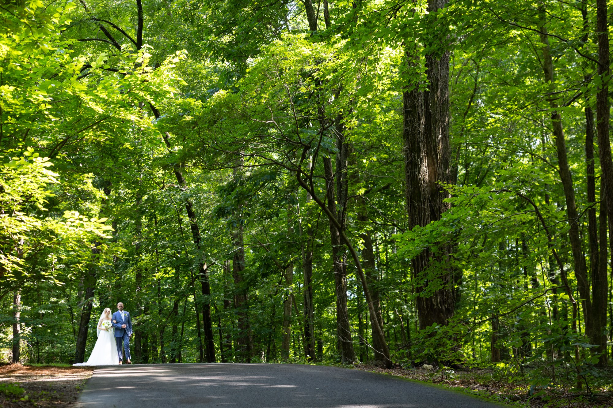 A couple small on a road through tall green forest in Tennessee