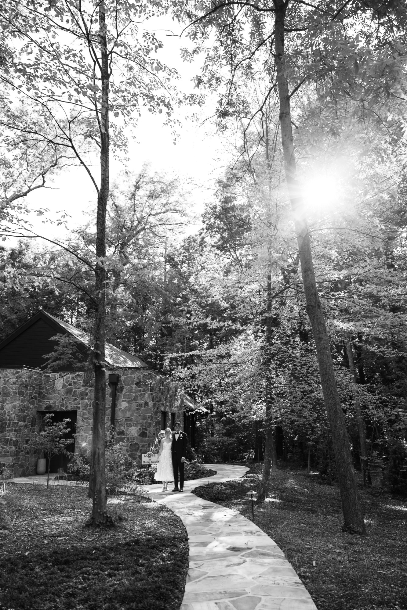 Sun through the trees over the garden path, in black and white