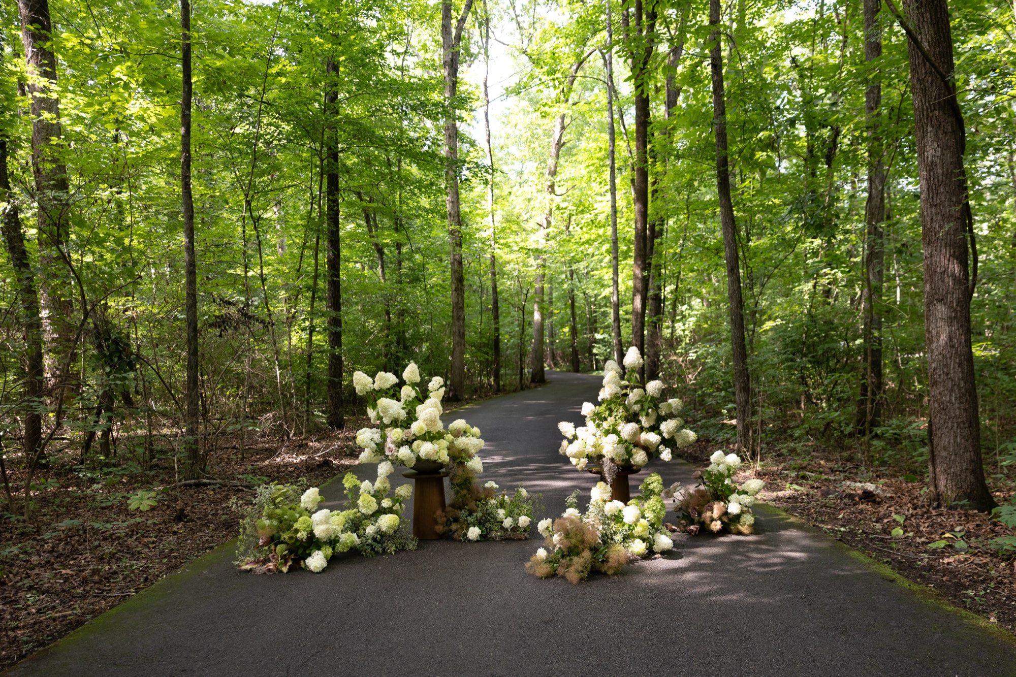 Hydrangeas lining the ceremony road in the woods