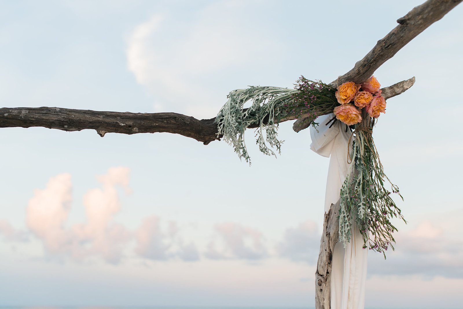 Flowers on the driftwood arch