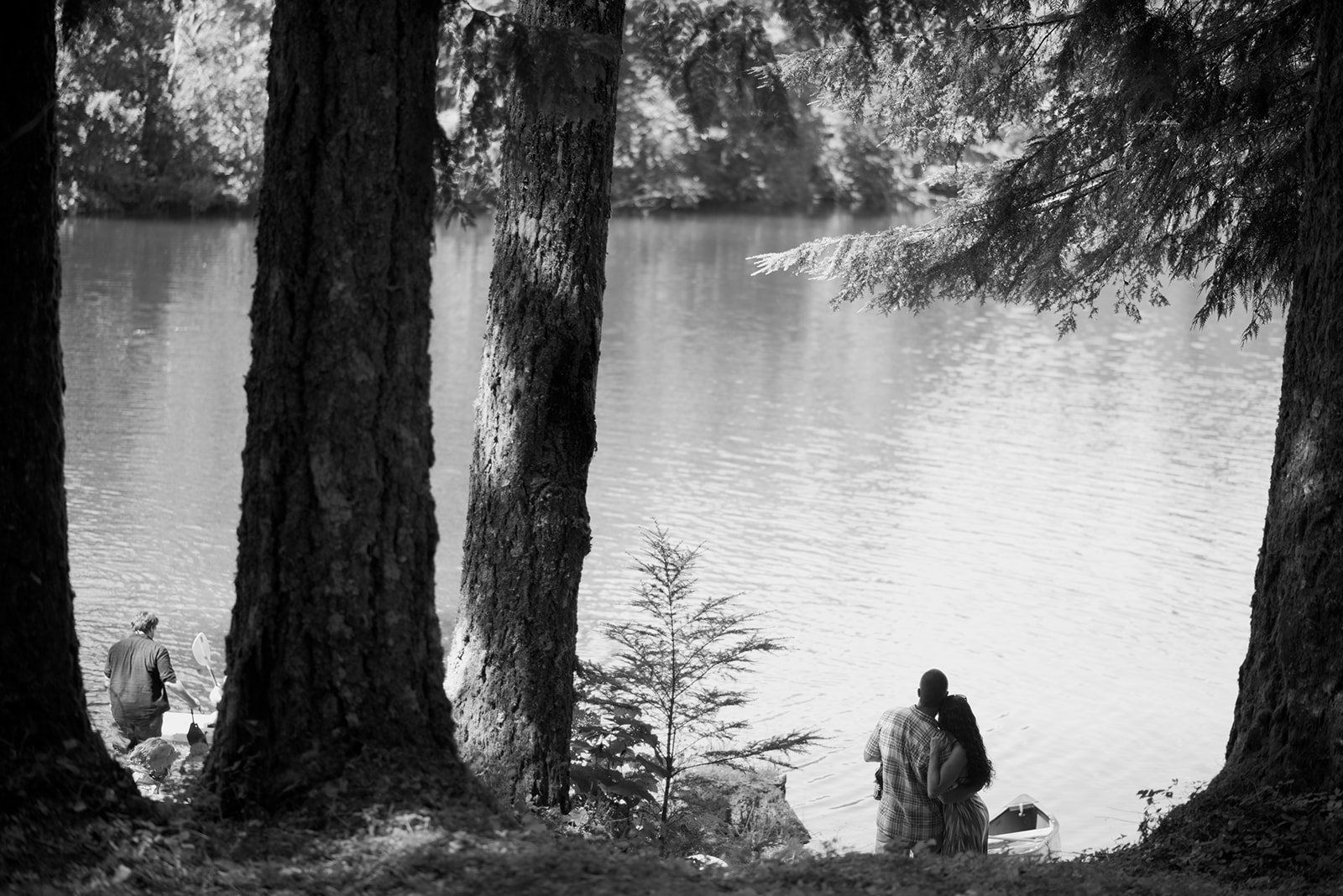 The lake through the trees, in black and white