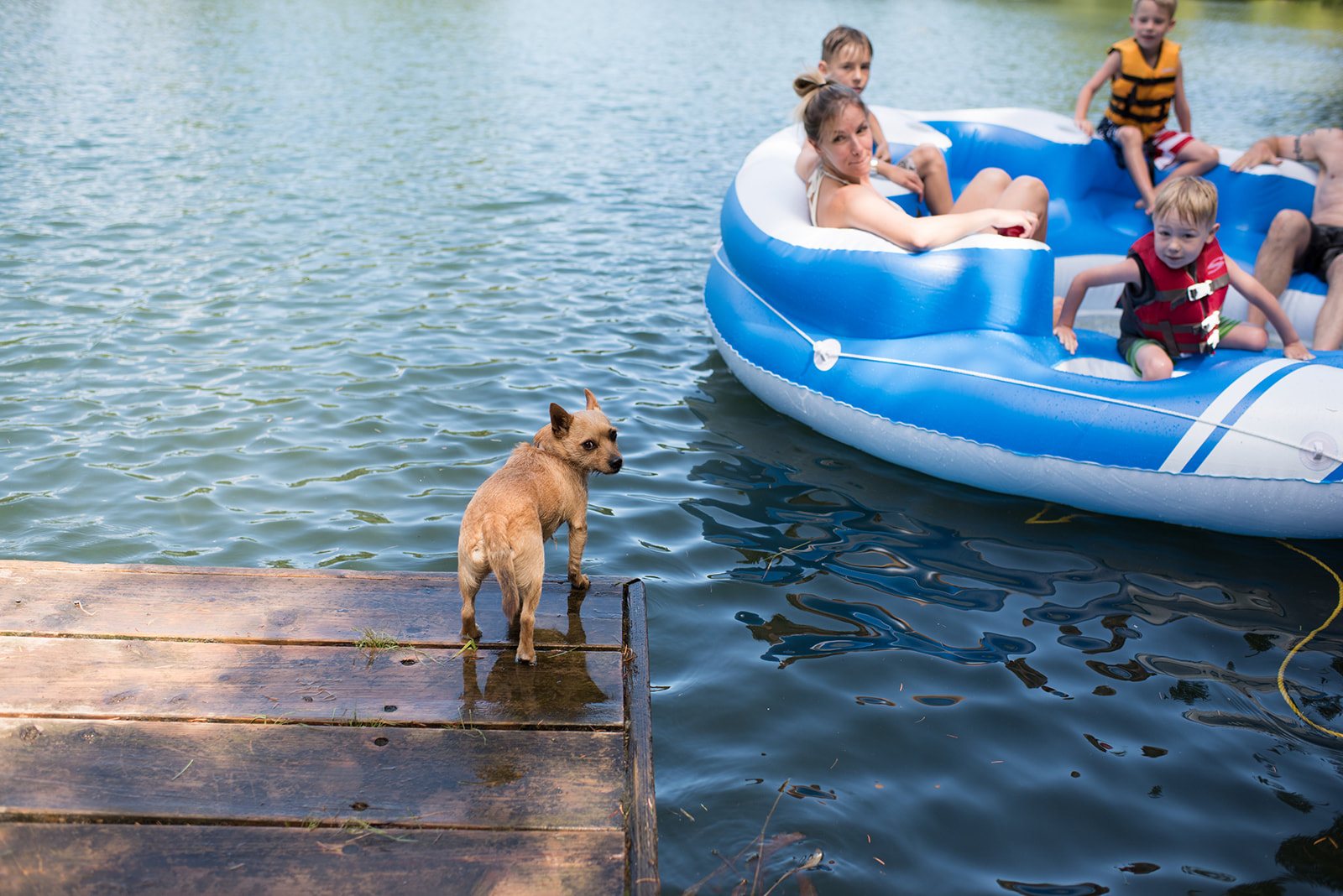 A dog on the dock watching an inflatable boat