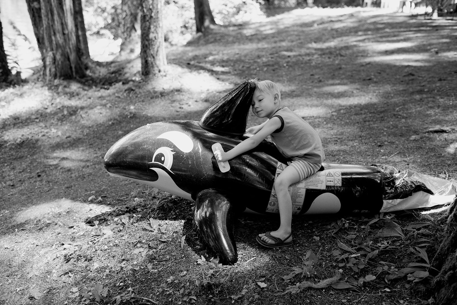 An inflatable whale in the woods, in black and white