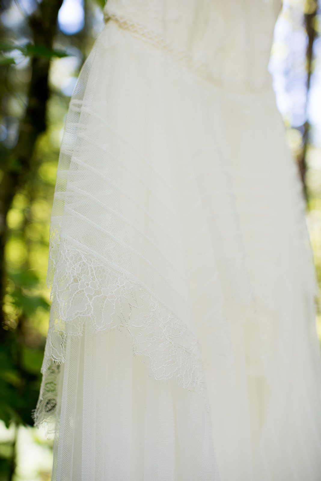 The gown hanging in the trees