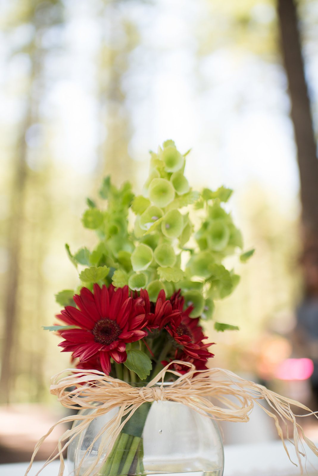 Red flowers in a jar
