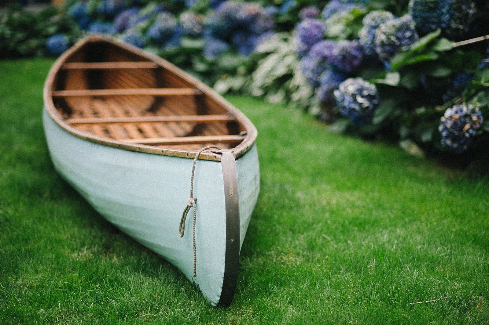 A white canoe beside the hydrangeas