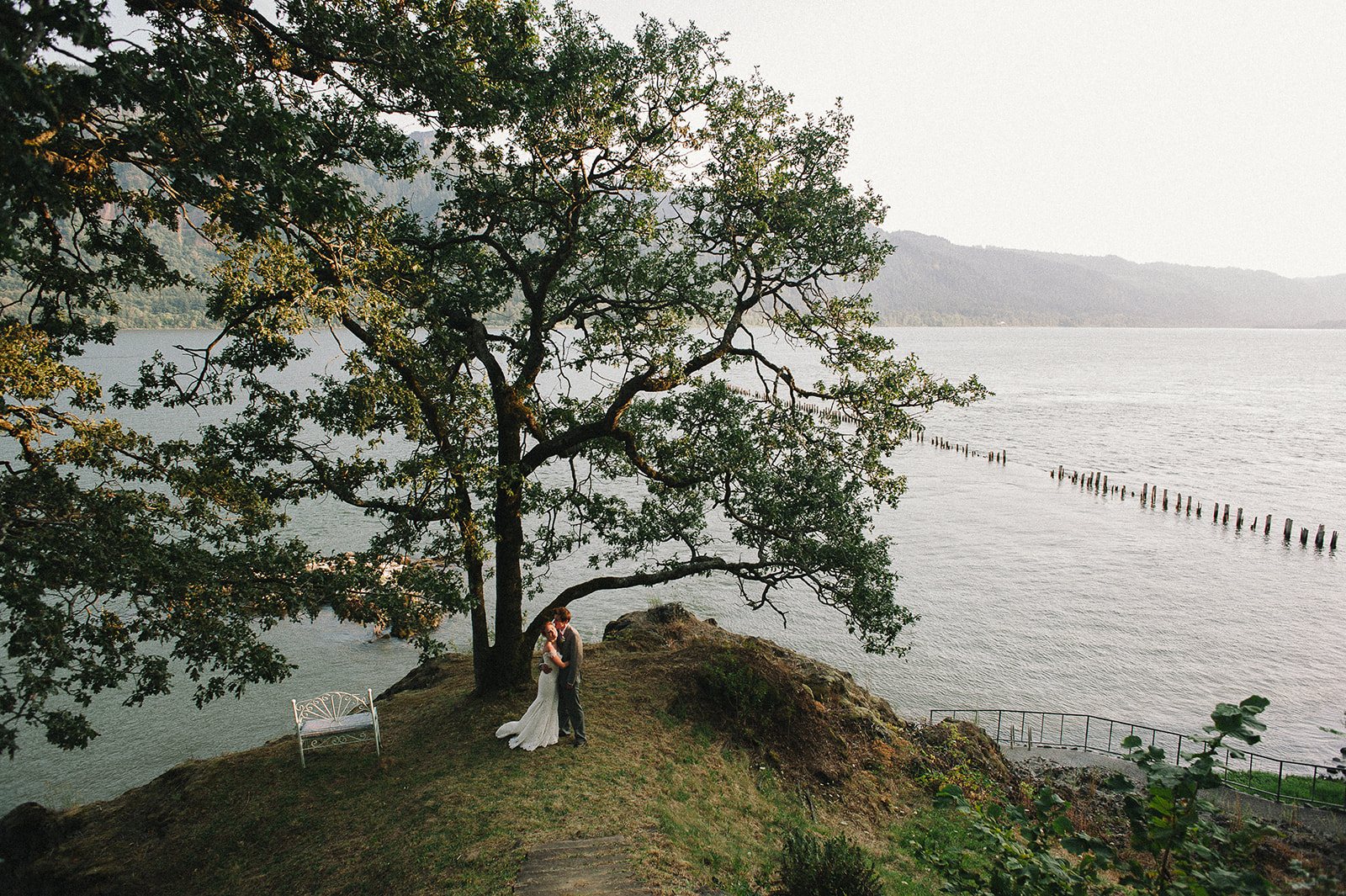 A lone tree on the bluff above the river